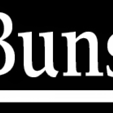Logo Buns