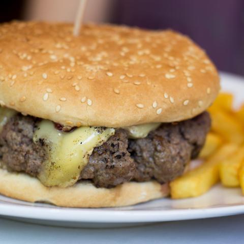 Burger Volcanes