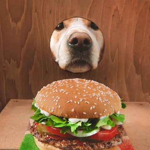 Whopper Dog