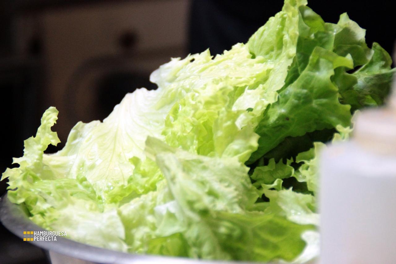 Lechuga