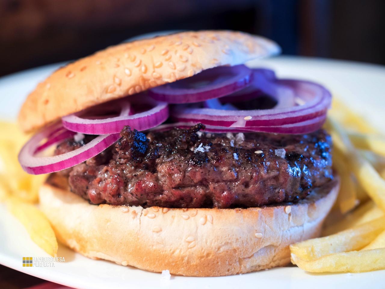 Burger Tonatiuh